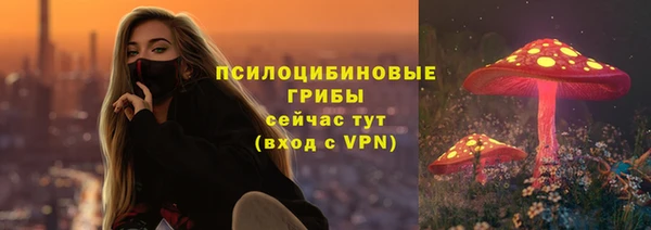 гидра Абаза