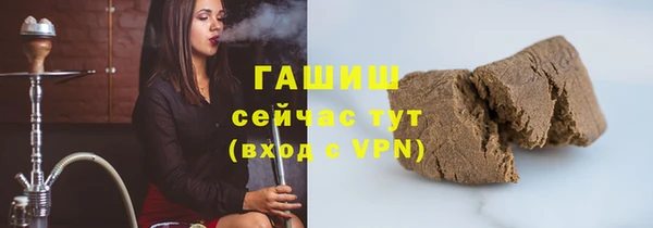 гидра Абаза