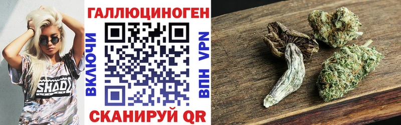 Галлюциногенные грибы Cubensis  нарко площадка как зайти  Шахунья 